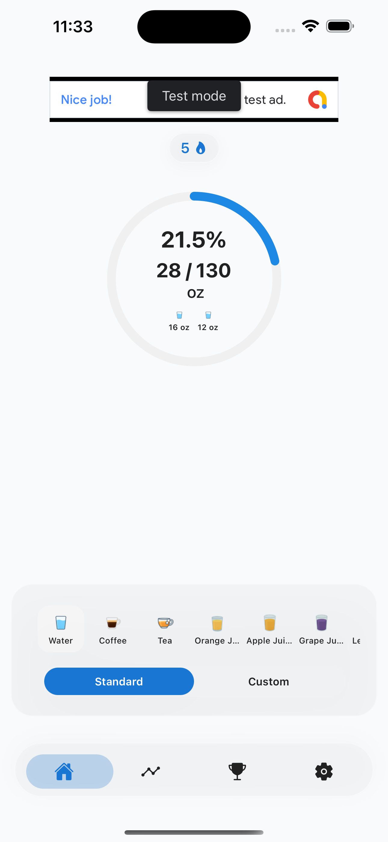 Home screen showing daily progress